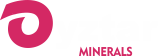 light logo
